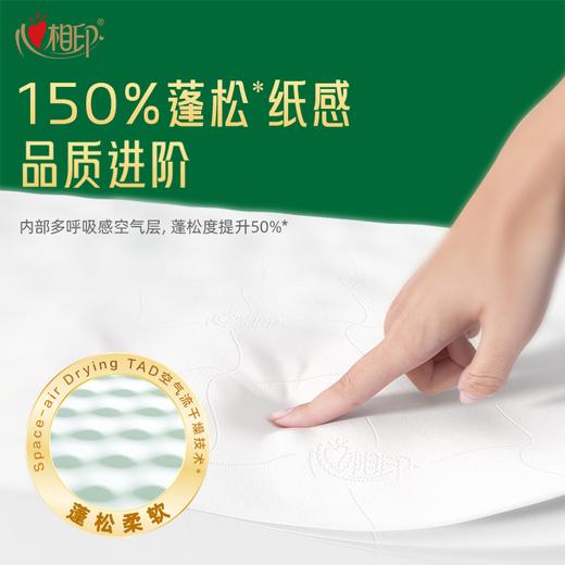 T心相印12卷绒立方160节短卷三层无芯卫生纸TRW1160 商品图2