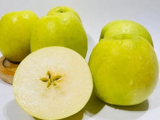 【新鲜水果】 枝悦正宗甘肃庆阳瑞雪苹果 2025年新果 青苹果一级果 果香脆甜 口感浓郁  农残检测0残留 产地直发 商品图10