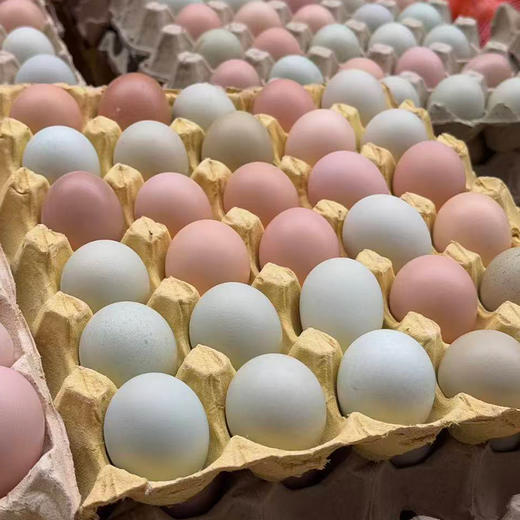【兵兵有礼】丹江口散养土鸡蛋50枚 （全国包邮，部分地区除外） 商品图5