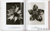 Karl Blossfeldt. The Complete Published Work. 40th Ed. / 卡尔·布洛斯菲尔德 出版作品全集 /Taschen 40周年系列 商品缩略图4