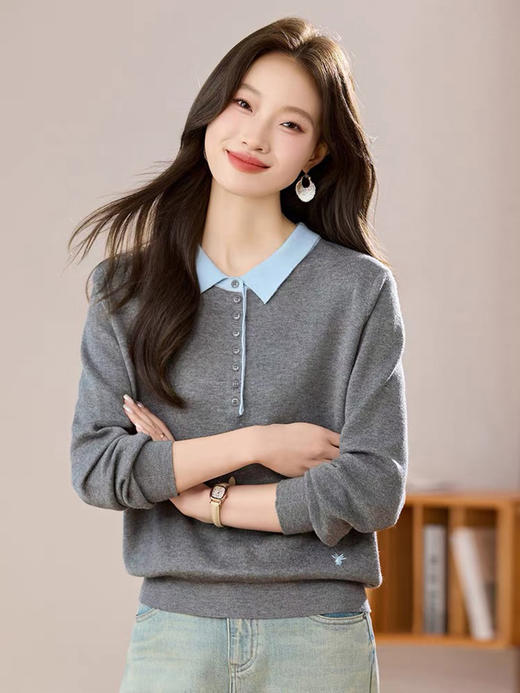 专供实体线下！18支极*细全羊毛！音の+同款~！翻领刺绣针织衫！ 商品图1