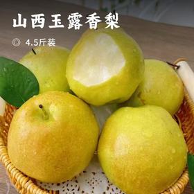 山西玉露香梨 | 当季水果 核小果肉细腻无渣 脆甜多汁 个大饱满 一口爆汁甜上头 满口清香
