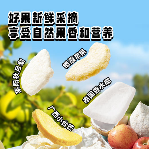膳食纤维冻干水果片 商品图1
