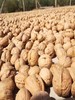 新疆阿克苏原味生纸皮核桃 商品缩略图3