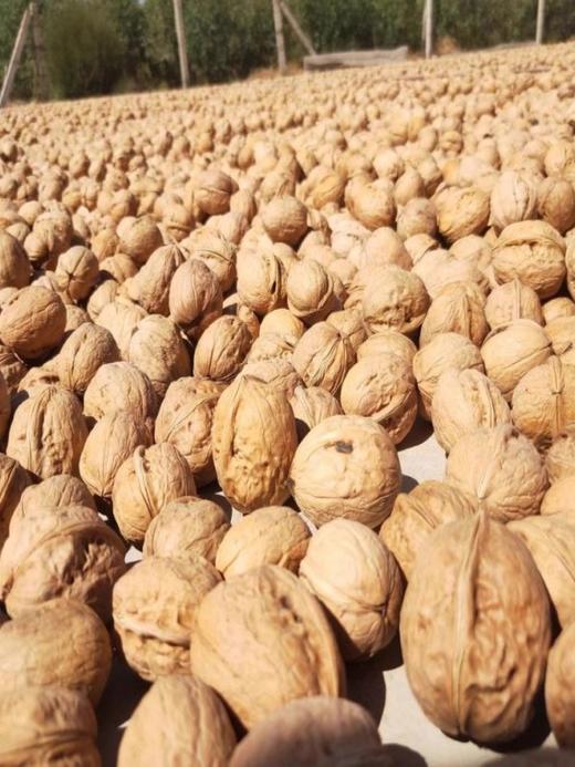 新疆阿克苏原味生纸皮核桃 商品图3