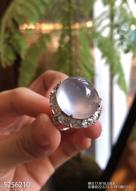 玻璃种蛋面戒指【5256210】具体价格微信咨询 商品图1