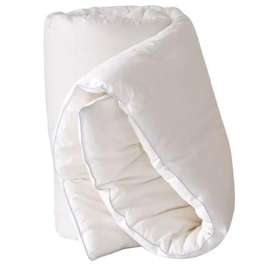 【恐龙厅】B7F丨  恐龙舒雅纤维冬被2000g 商品图0