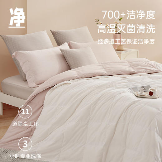 超值限量款70白鹅绒子母被 商品图3