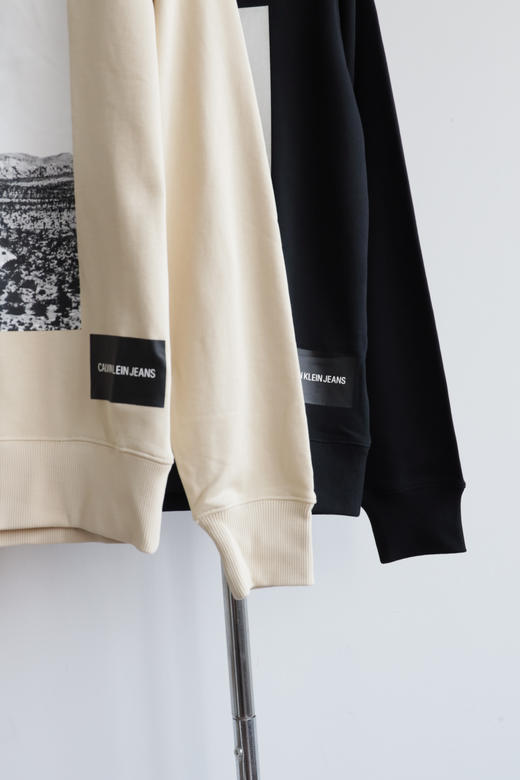 西K元单 薄款全棉毛圈卫衣 WY931 商品图3