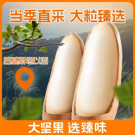 皇家臻味-260g巴西松子（中罐）2023 TC 商品图1