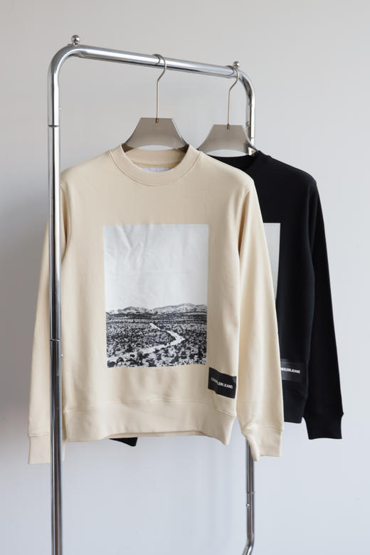 西K元单 薄款全棉毛圈卫衣 WY931 商品图1