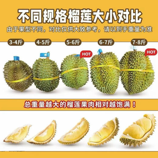 【猫山王冻榴莲】 核心产区 树上熟 老树老果 醇厚香甜 商品图3