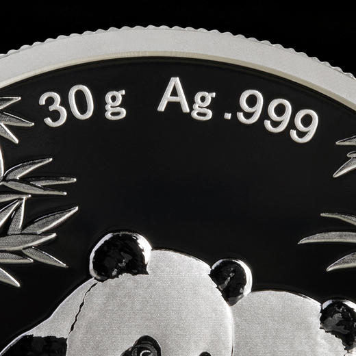 2026年熊猫30克银币 商品图2