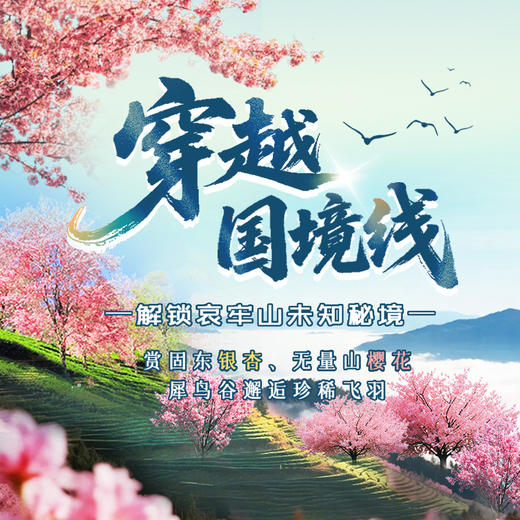 穿越国境线・解锁哀牢山未知秘境 —— 赏固东银杏、无量山樱花，犀鸟谷邂逅珍稀飞羽 商品图0