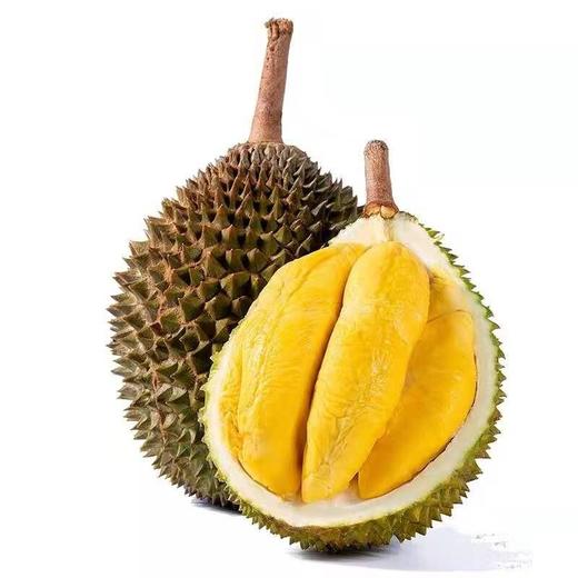 【猫山王冻榴莲】 核心产区 树上熟 老树老果 醇厚香甜 商品图4