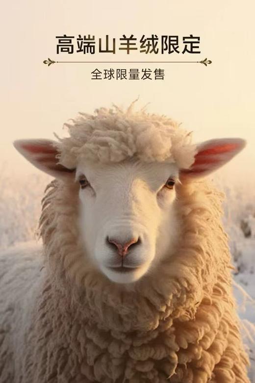 纯元！Z品单！MissWiss 冬季奢金羊绒鲨鱼裤 商品图3