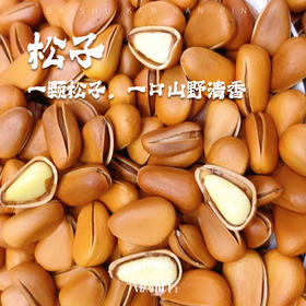 黑龙江特大野生东北手剥开口松子原味孕妇坚果