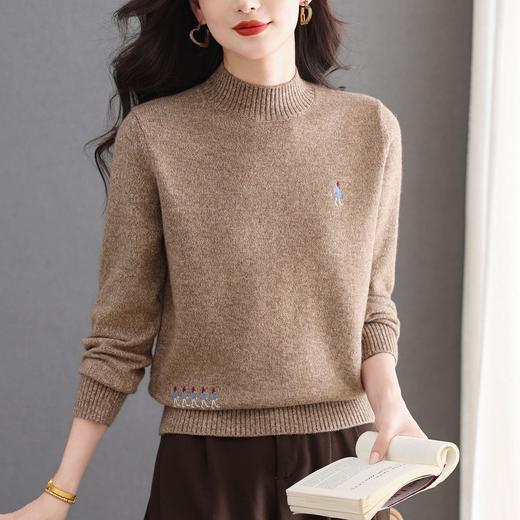 CC2025年秋冬新款优雅时尚半高领针织衫女刺绣显瘦气质百搭打底上衣 商品图0