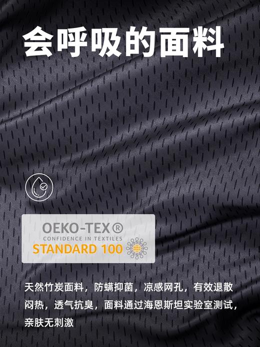 德国AVOVA Swan-F 小旋风F (智能通风) 新生婴儿安全座椅车载宝宝通风加热0-7岁 商品图1