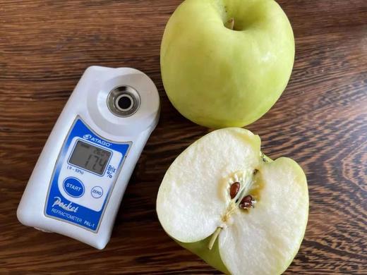 【新鲜水果】 枝悦正宗甘肃庆阳瑞雪苹果 2025年新果 青苹果一级果 果香脆甜 口感浓郁  农残检测0残留 产地直发 商品图5