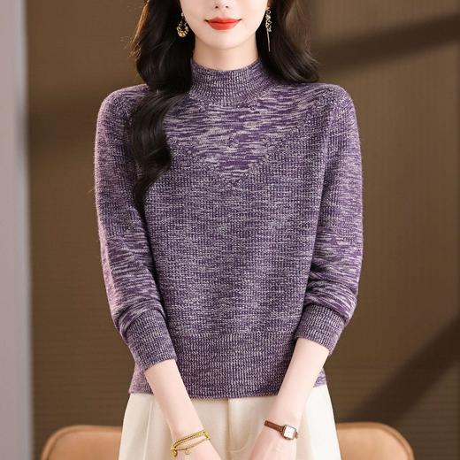 CC2025秋冬花纱半高领毛衣女针织软糯显瘦内搭气质通勤长袖短款上衣 商品图2