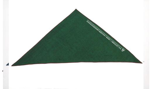 TANGY Collection天意精品文创围巾CL251425 商品图2