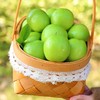 头茬鲜果牛奶大青枣 核小肉厚 脆甜多汁 商品缩略图6