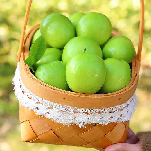 头茬鲜果牛奶大青枣 核小肉厚 脆甜多汁 商品图6