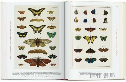 Seba. Cabinet of Natural Curiosities. 45th Ed. / 塞巴. 自然奇珍柜（45周年纪念版）/Taschen 45周年系列 商品图2