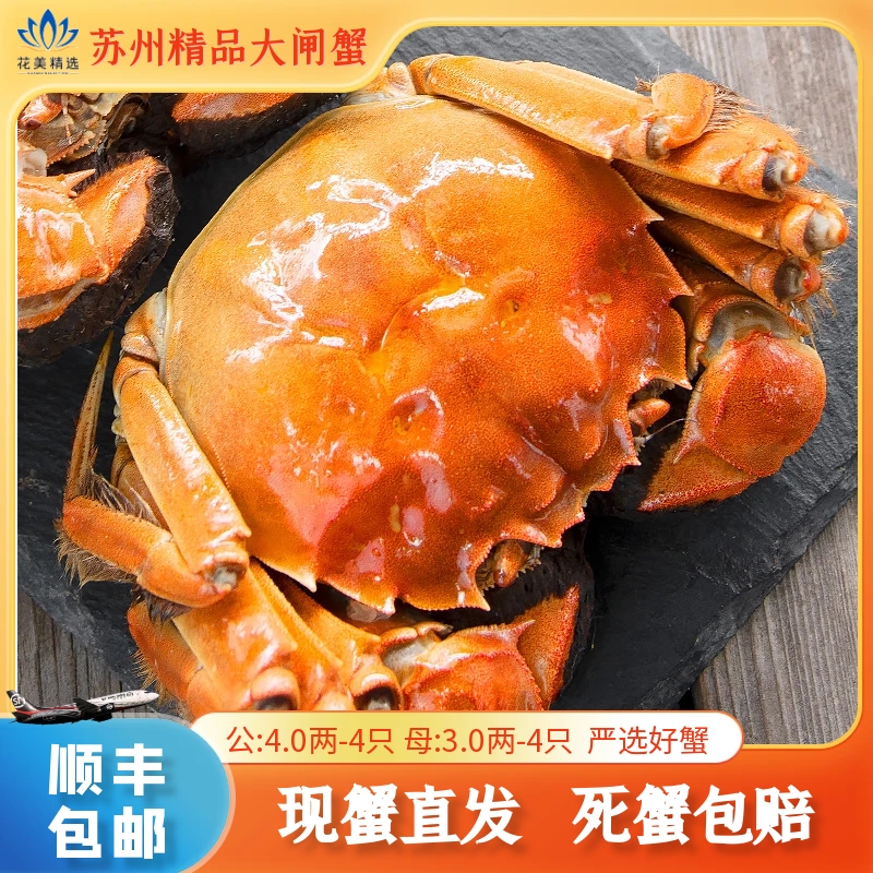 【活蟹】苏州精品大闸蟹   活蟹直发 【深莞区专属】