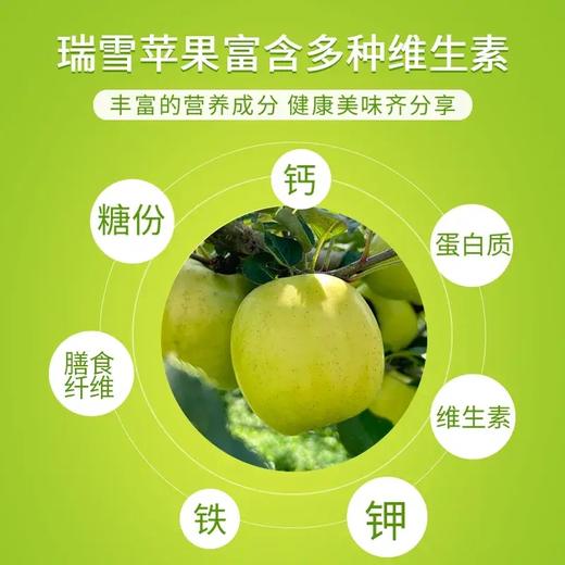 【新鲜水果】 枝悦正宗甘肃庆阳瑞雪苹果 2025年新果 青苹果一级果 果香脆甜 口感浓郁  农残检测0残留 产地直发 商品图3
