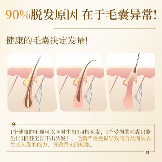 【美诗秀植物防脱育发套盒】强根固发密发头皮精华液 商品图2