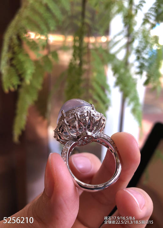 玻璃种蛋面戒指【5256210】具体价格微信咨询 商品图5