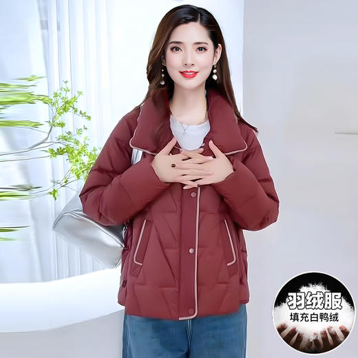 QYM 25XYY15-Y时尚羽绒服翻领外套 商品图1