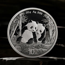 2026年熊猫30克银币