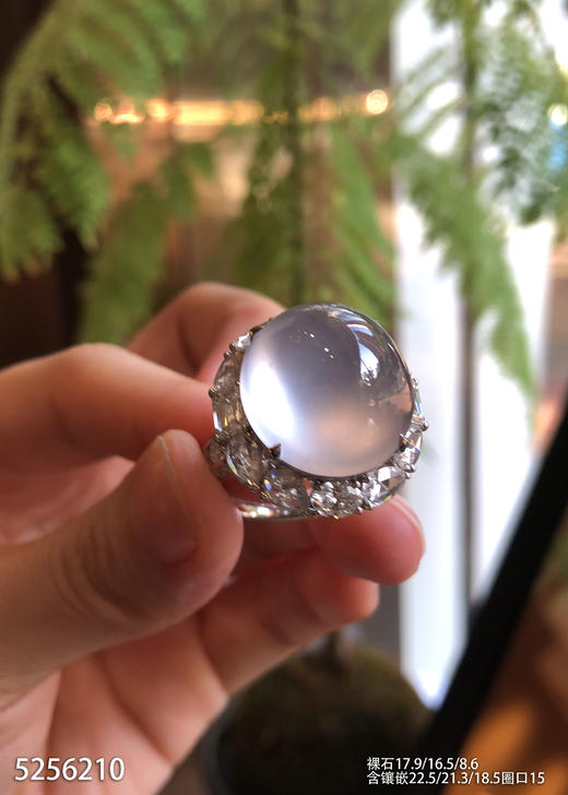 玻璃种蛋面戒指【5256210】具体价格微信咨询 商品图2