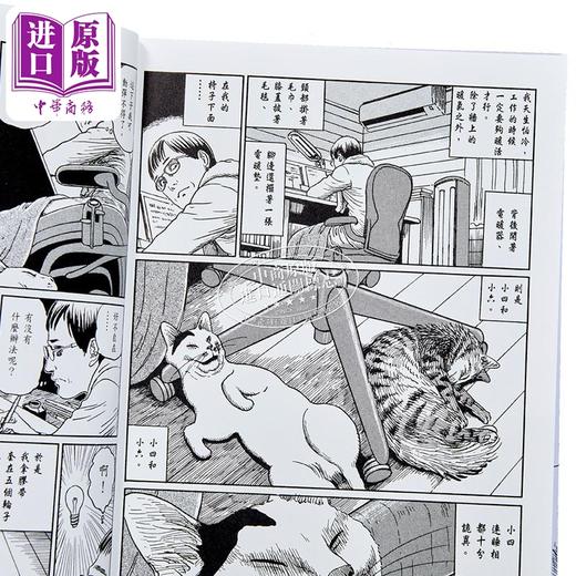 【中商原版】伊藤润二的猫日记 全 港台原版 伊藤润二 尖端出版社 漫画 搞笑猫咪漫画 商品图10
