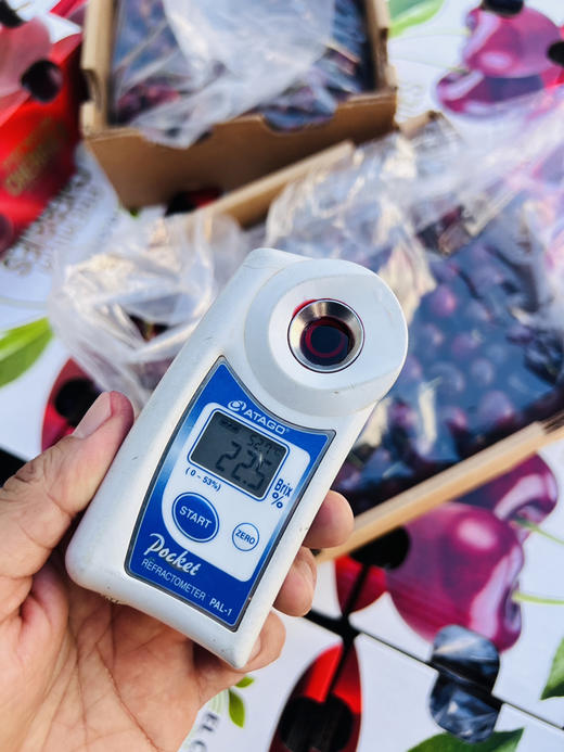 智利桑提娜黑车厘子、脆甜、浓郁 商品图4