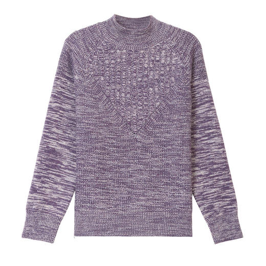 CC复古杂色半高领提花针织衫女秋冬季显瘦厚款紫色套头内搭外穿毛衣 商品图4