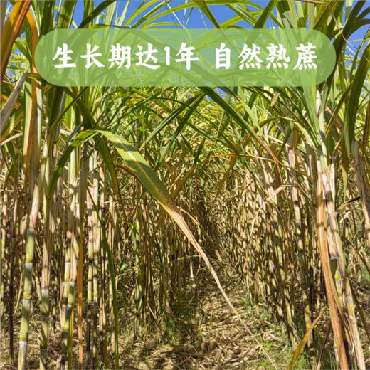 谦益象遇原汁红糖188g 云南原始森林生态甘蔗  古法工艺熬制 拒绝添加 产妇产后/月子/生理期优选 商品图8
