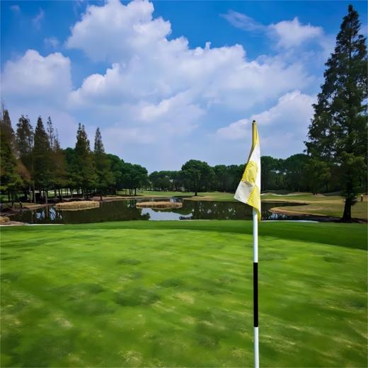 汤臣上海浦东高尔夫球场 Tomson Shanghai Pudong Golf Club | 上海高尔夫球场  |  中国 商品图2