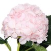 绣球 | 迪瑞特甜蜜璀璨 商品缩略图4