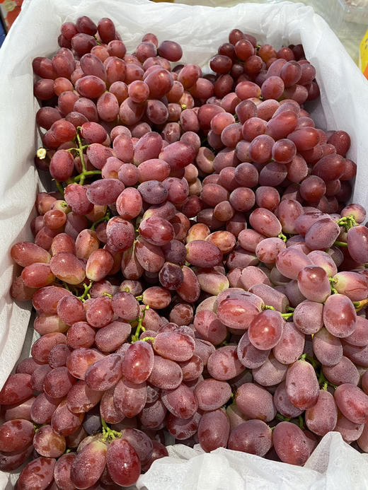 宏丰精选，无籽奶提，口感甜，活动价19.8元一斤 商品图3