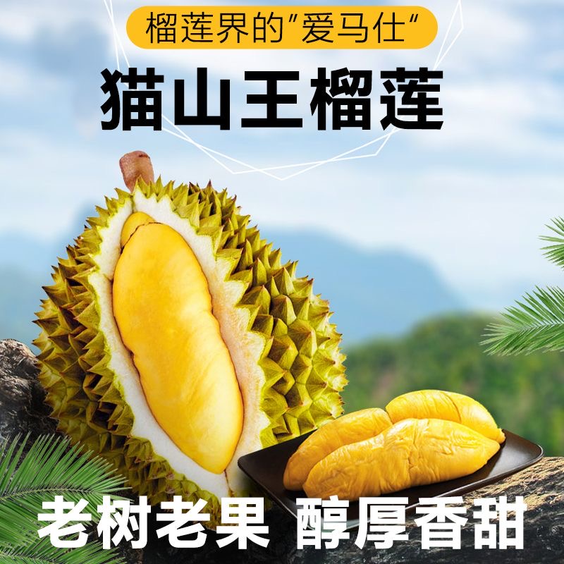 【猫山王冻榴莲】 核心产区 树上熟 老树老果 醇厚香甜