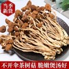 【干货不开伞❗️古田茶树菇】优选产地当季菌材，自然生长， 新鲜采摘，产地决定品质和口感，干货批发开伞茶树菇L 商品缩略图0