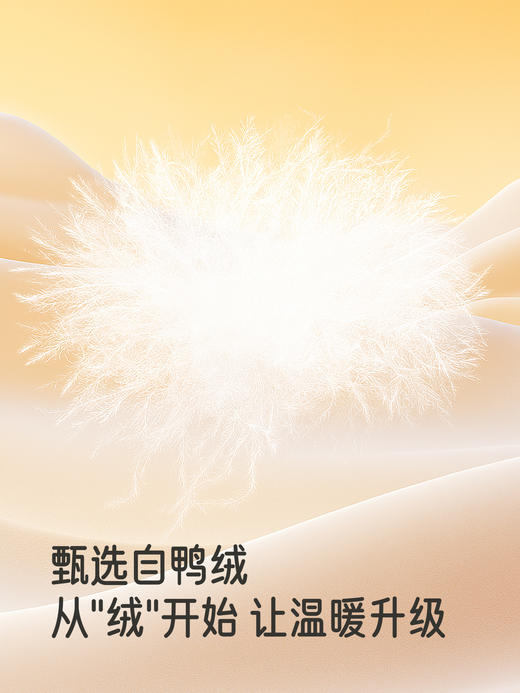 【高定系列】英氏儿童羽绒服冬白鸭绒连帽防风保暖御寒外套超韧绒YRWXJ4R129A 商品图2