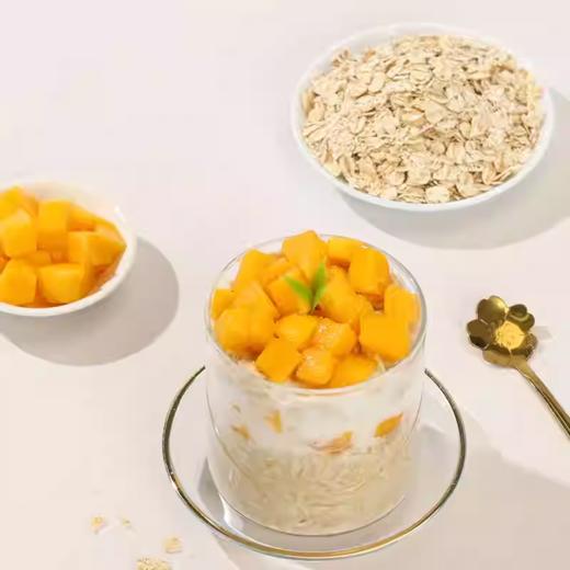 豪斯佳敦（Healthy Garden）澳洲原产红土传统高纤纯燕麦片500克 商品图3