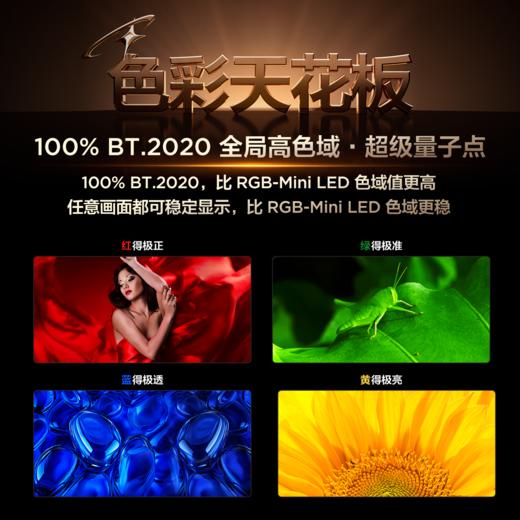 【新品上市】TCL电视 98X11L 98英寸 SQD-Mini LED机皇 100%全局高色域 超级蝶翼华曜屏 万象分区 约2cm至薄 商品图3