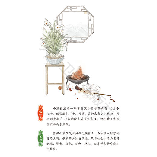 本草光阴2026中医药文化日历 人卫中医 杨柏灿 包括本草知识传统节日文化二十四节气养生与导引养生药膳与茶饮等 人民卫生出版社 商品图4