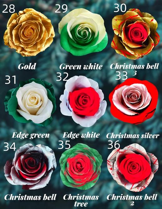 【预定】2025圣诞节厄瓜多尔进口染色玫瑰花10支 商品图4